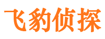 洛浦侦探公司